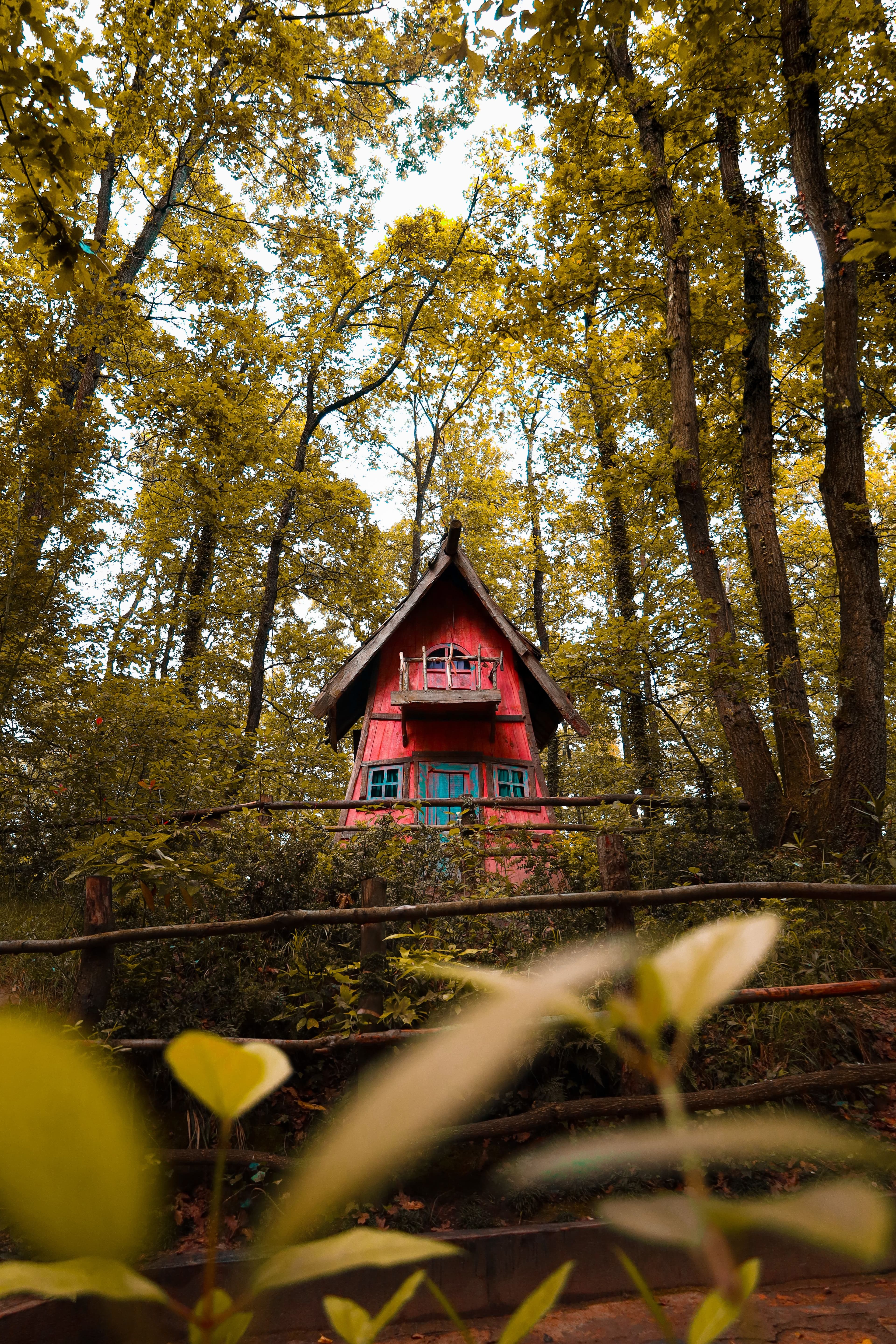 Sapanca & Masukiye Nature Day Trip gallery image 2