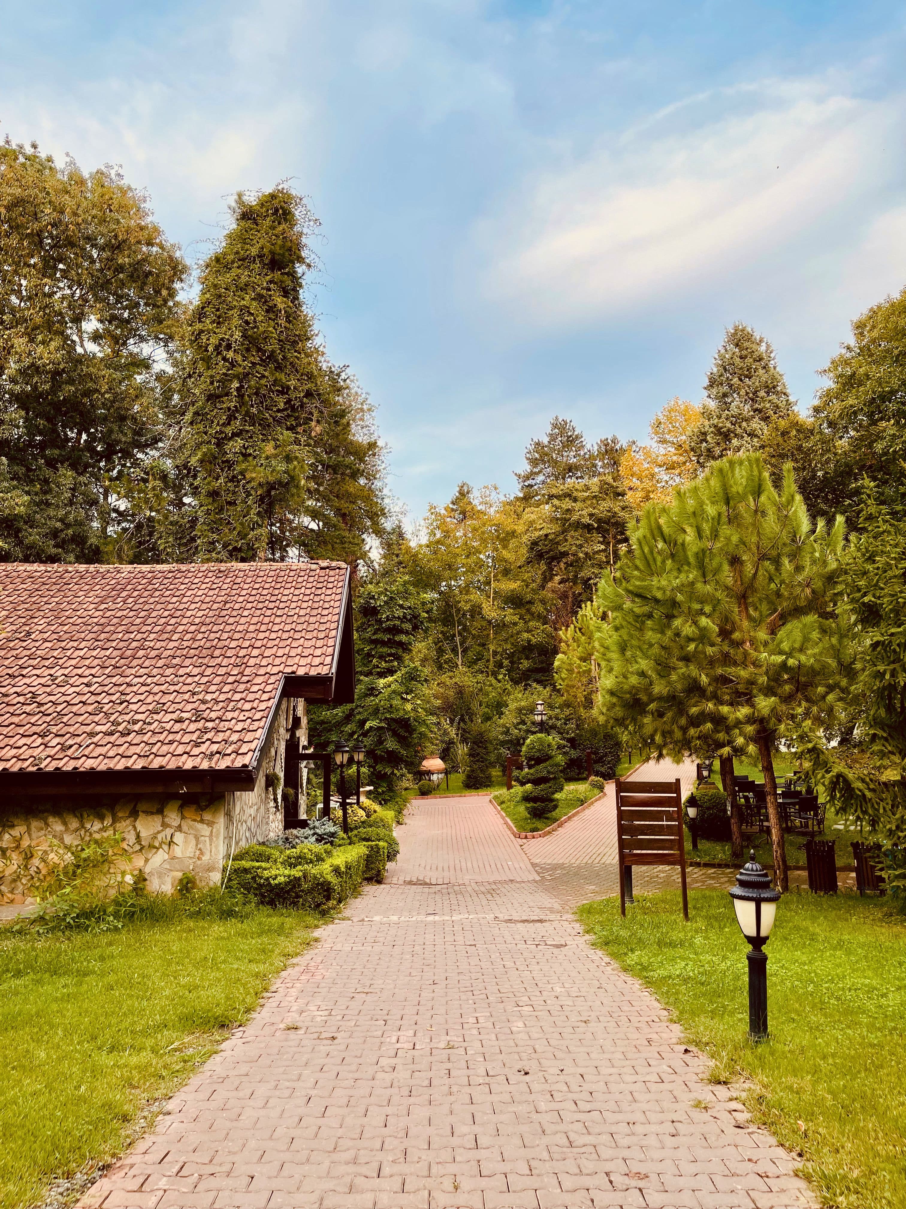 Sapanca & Masukiye Nature Day Trip gallery image 7